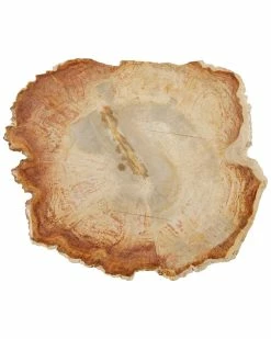 Fortessa D&V 8in Petrified Wood Platter Home Serveware