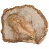 Fortessa 12in Petrified Wood Platter Home Serveware 1 Fortessa 12in Petrified Wood Platter Home Serveware -Fortessa Shop 3010014718 RLLZ 1