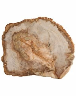Fortessa 12in Petrified Wood Platter Home Serveware
