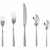 Fortessa Lucca 5pc Place Setting Home Flatware & Cutlery